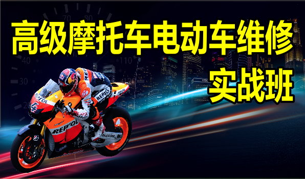 �߼�Ħ�г��綯��ά����ѵ��